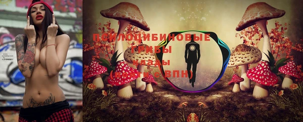 спиды Белокуриха